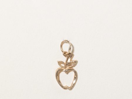 10k Yellow Gold Apple Charm Online Sale