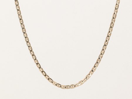 10k Yellow Gold Anchor Link Chain | 20  | Online Sale