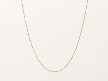 10k Yellow Gold Rolo Chain | 19  | For Cheap