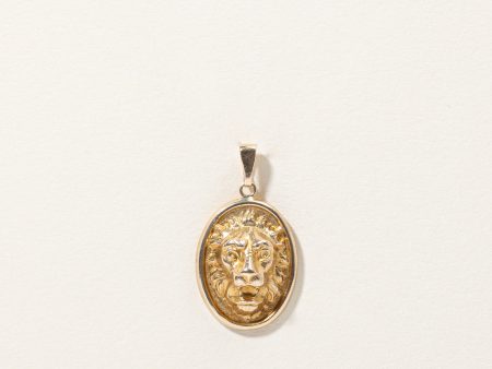 10k Yellow Gold Lion Head Pendant For Cheap