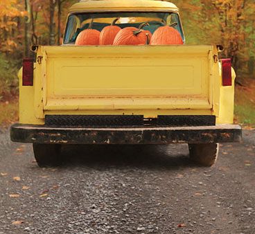 LD1497 - Yellow Pumpkin Hauler - 12x18 For Cheap