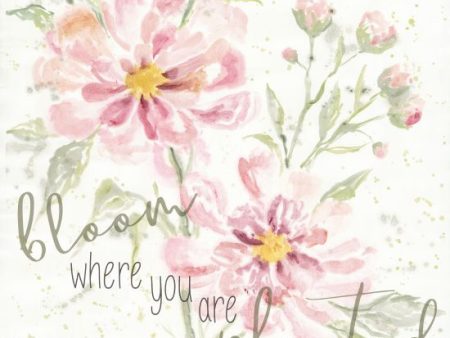 CIN1389 - Bloom Where You are Planted Online now